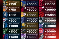 欧洲杯MVP申京闪耀，湖人弃将逆袭成最佳射手